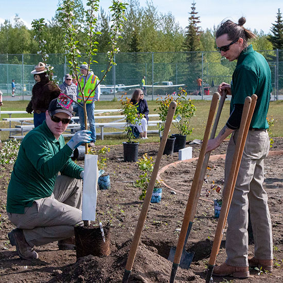 Planting