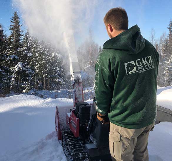 Snow Removal