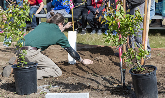 Tree Healthcare Alaska