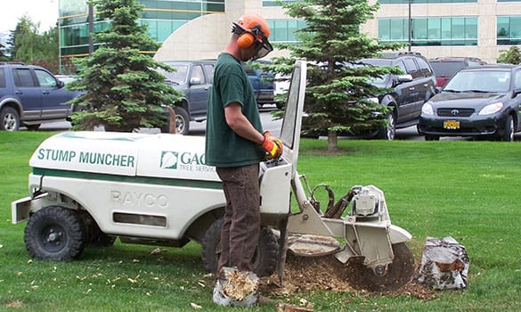 Stump Removal Wasilla AK